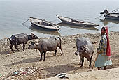 Varanasi - the ghats